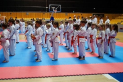 b_250_180_16777215_0_0_images_aktualnosci_2024_karate_strongffd.jpg